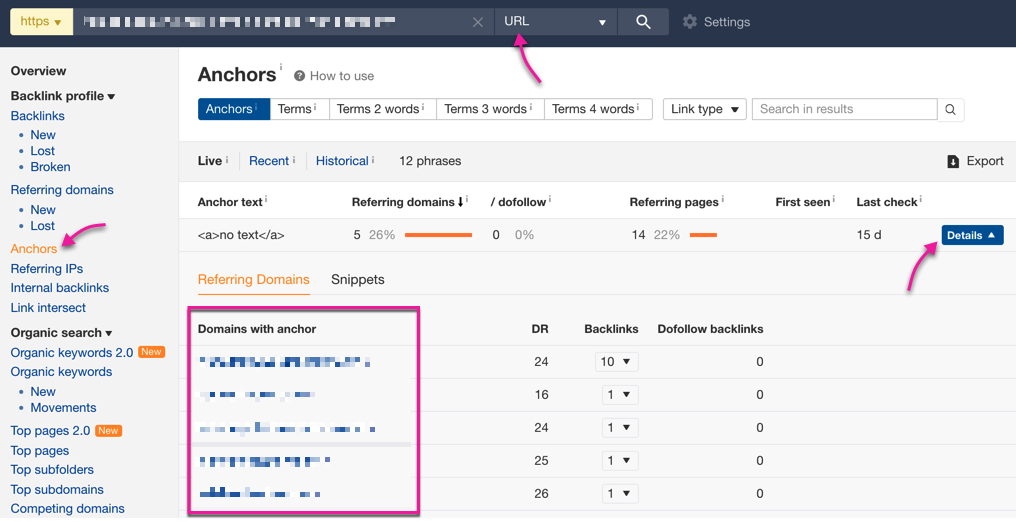 check anchor texts in ahrefs